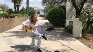 Alice Cooper - Poison (Acoustic) - Classical Fingerstyle Guitar by Thomas Zwijsen
