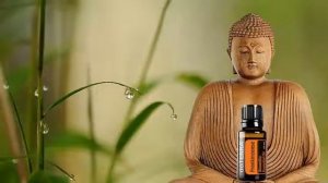 Король эфирных масел – ЛАДАН (doTERRA)