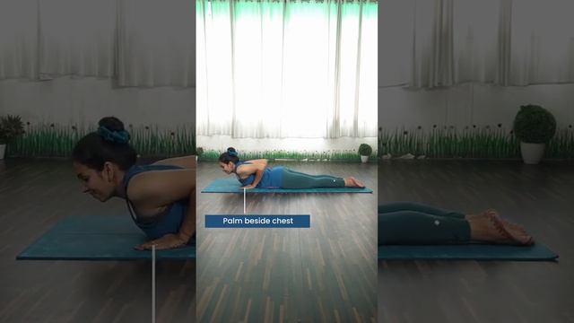 How to Perform Cobra Pose | Bhujanasana | Yog4Lyf | Yoga at home #shorts