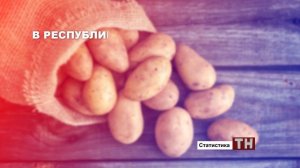 "Картофель - второй хлеб" - топ 5 территорий в крае по посевным