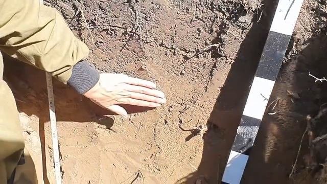 Видеоурок по закладке почвенного разреза и макроморфологического описания почвенных горизонтов