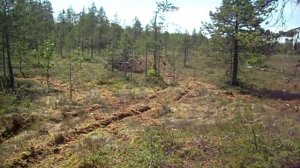 Проходимость Квадроцикла по Болоту