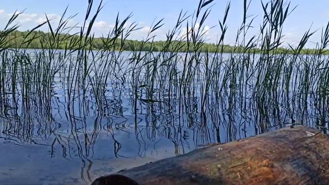 #СЕГДЕНСКОЕ#ОЗЕРО