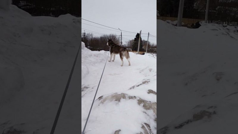 На страже славного града