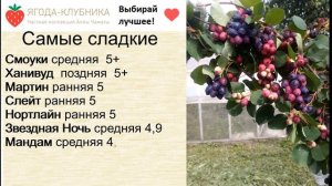 Самая сладкая и крупная Ирга канадская на весну 24 года