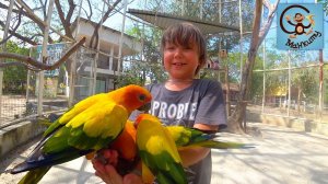 Манкиту в Зоопарке.