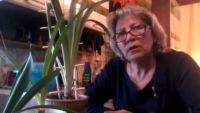 Гиппеаструм- уход.Удобряем после цветения ... смотреть онлайн