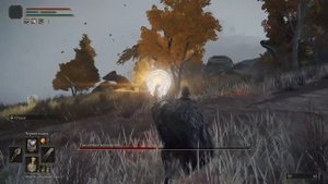 Elden Ring : Где Найти Твердая Опаловая и Скальная Треснувшая   Слеза?! | Гайд ?