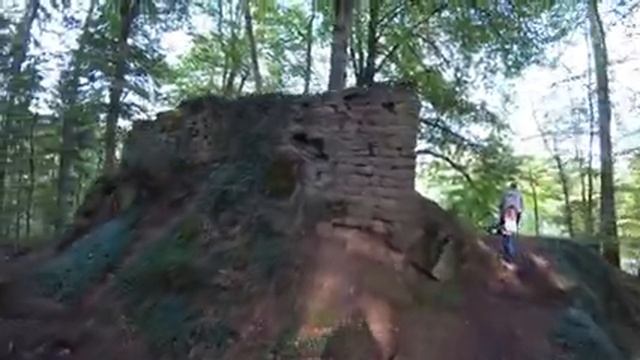 ЧТО ТАМ В ЛЕСУ? НЕ ОЖИДАЛИ УВИДЕТЬ. ТАЙНЫ ЧЁРНОГО ЛЕСА. смотреть онлайн