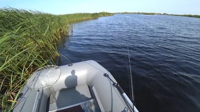 Топ бюджетных и уловистых воблеров на щуку. #pike #кастинг #host #volgaspintv #рыбалканащуку