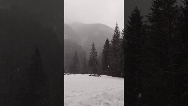 Зимняя сказка в горах🏔️ Это место удивительно красиво,величественные горы и лес во всей своей красе