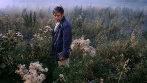 И.С.Бах. Хоральная прелюдия фа минор "Ich ruf zu dir, Herr Jesu Christ"
Автор видео: Kultspargalka