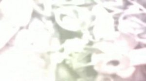 ЗМЗ 406 в газ 24