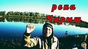 РЕКА ЧАРЫШ. ДЕРЗКИЕ ЧЕБАКИ, БЕШЕННЫЕ ЯЗИ.УХА И РЫБА НА УГЛЯХ НА БЕРЕГУ. ОТДЫХ С СЕМЬЕЙ.