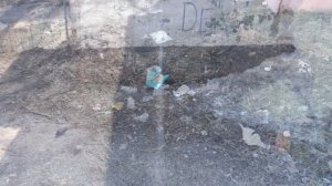 валуйки.территории свиней2???