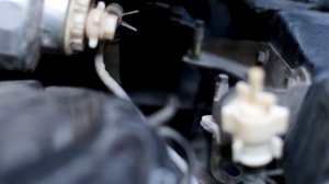 Toyota Land Cruiser Prado 90 (1KZ) Diesel Fuel Filter Replacement