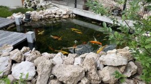 Стоит ли ходить в зоопарк «Лимпопо»? | Нижний Новгород. |