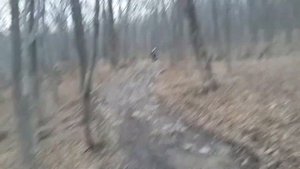 Обзор китайского BWS 150 куб.