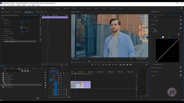 Color grading. 14- dars. Tasvirga rang berish
