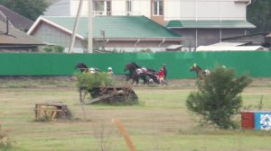 12.08.2022г.Абакан Групповой заезд для лошадей 2-х лет Рысистых пород 1600м