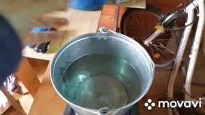 Полный цикл выращивания перепелов. Получение инкубационного яйца, забой.