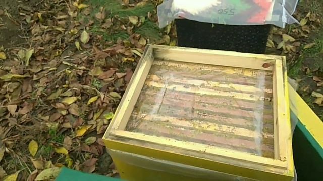 Зимовка Пчёл Без Влаги !!! Подготовка Пчел К Зимовке На Улице !!! смотреть онлайн