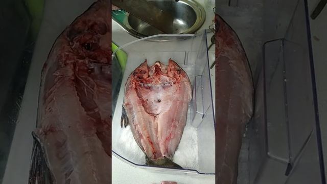 Толстолобик горячего копчения смотреть онлайн