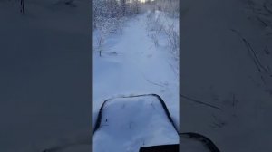 Охота на мотобуксировщике