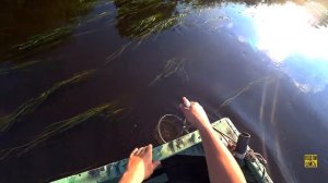 Рыбалка на удочку!Плотва на пшеницу/2020.