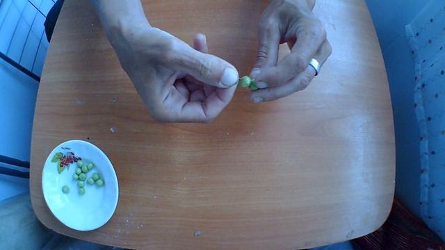 ,КАК ПРАВИЛЬНО СДЕЛАТЬ НАСАДКУ ДЛЯ РЫБАЛКИ ДЛЯ ЛОВЛИ НА ФИДЕР УДОЧКУ ИЗ СВЕЖЕГО ГОРОХА смотреть онлайн