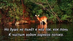 ТЫ ОСТАВИЛ ПЕРВУЮ ЛЮБОВЬ. ”Христианские стихи“ ВПЕРВЫЕ на YouTube. «ТРОГАТЕЛЬНО» СТИХ О ЛЮБВИ. new