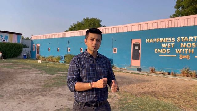 GUJARAT’s first PET CLUB 🐶 Heaven for Dogs 😍 | Boarding | Spa | Cafe #petfriendly смотреть онлайн