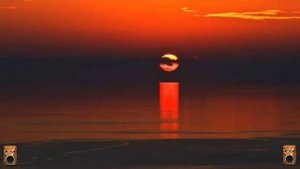 Blonker - Sidewalk Cafe