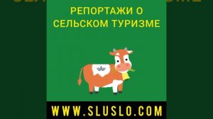 Белгородские фермеры. Сельский туризм 2022 в Белгородской области