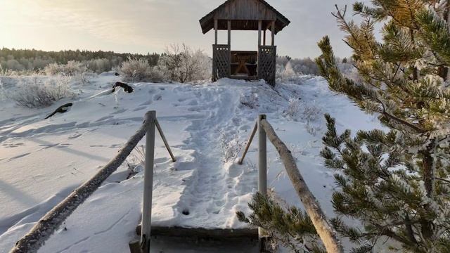 Акколь - Зимний лес - Рассвет