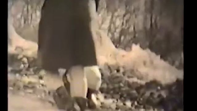 ПЕСНИ ПРОШЛЫХ ЛЕТ смотреть онлайн