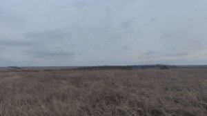 Экипаж_танка_Т_80БВМ_уничтожил_опорный_пункт_ВСУ