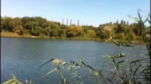 РЫБАЛКА КАРАСЯ В СЕНТЯБРЕ