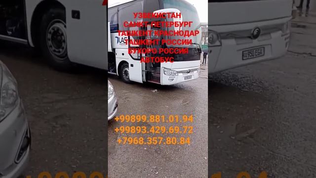 +998998810194 АВТОБУС ТОШКЕНТ МОСКВА #tajikistan #qazaqstan #russia #avtobus #migrate #musfir #taks