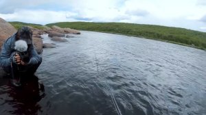 Ловля КРУПНОЙ СЁМГИ на КОЛЬСКОМ. В поисках трофеев на ЙОКАНЬГЕ. Тактика ловли и рабочие мушки.