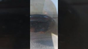 Deaf Bonce Apocalypse 3012r on 4900w