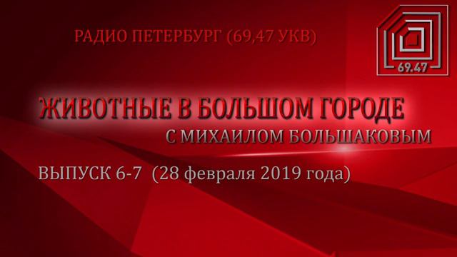 ЖИВОТНЫЕ В БОЛЬШОМ ГОРОДЕ (ВЫПУСК 6-7 от 28.02.2019) смотреть онлайн