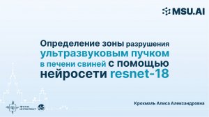 Определение зоны разрушения ультразвуковым пучком в печени свиней с помощью нейросети resnet-18