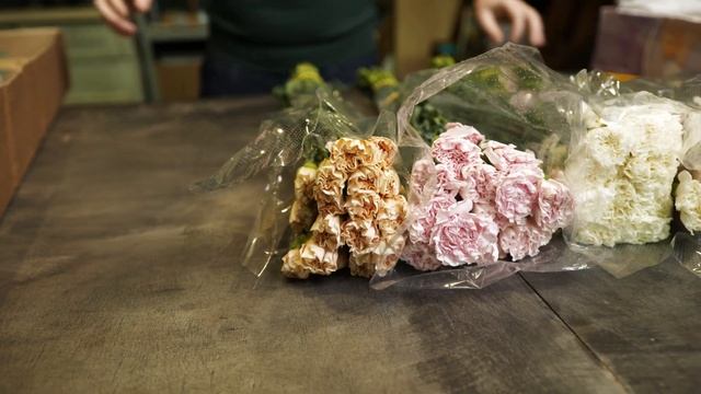 Гвоздика, Mix. Плантация Turflor. Колумбия смотреть онлайн