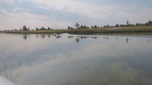 Хонда 10 л.с. и Яма 9.9 л.с.
