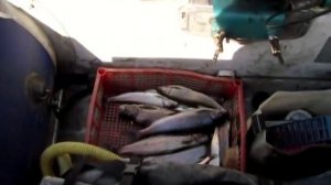 ПО РЕКАМ СИБИРИ ОСЕНЬ РЫБАЛКА