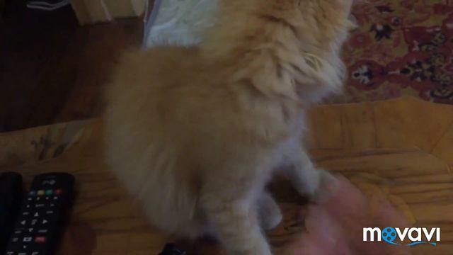 Подарок от канала «Уральский огород»/Дружба каналами/подарки/ смотреть онлайн