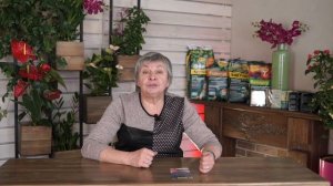 Стратификация семян в домашних условиях ✔️ 100% Результат Всхожести