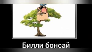 Остров сокровищ + ШИЗА =