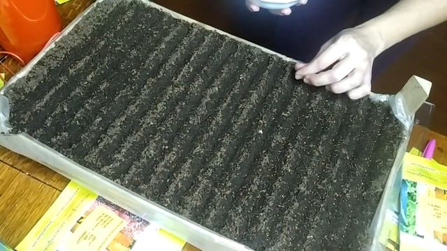 Посев виолы на рассаду 2022 год. смотреть онлайн